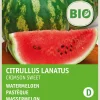 Discount Wassermelone Samen (Citrullus lanatus 'Crimson Sweet') (BIO) Samen Obstsamen|Saatgut