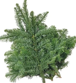 Clearance Weihnachtsgrün 40 cm Weihnachts- & Adventsdeko