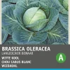 Online Weißkohl (Brassica oleracea 'Langedijker Dauer') Samen Gemüsesamen|Saatgut