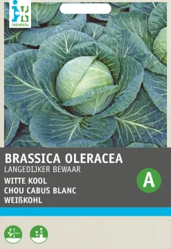 Online Weißkohl (Brassica oleracea 'Langedijker Dauer') Samen Gemüsesamen|Saatgut
