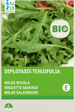 Wilder Rucola (Diplotaxis tenuifolia) (BIO) Samen Gemüsesamen|Saatgut