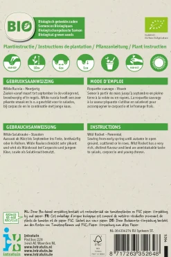 Wilder Rucola (Diplotaxis tenuifolia) (BIO) Samen Gemüsesamen|Saatgut