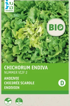 Winterendivie (Cichorium endivia 'Eskariol Grüner') (BIO) Samen Gemüsesamen|Saatgut