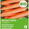 Discount Wintermöhre (Daucus carota 'Rote Riesen 2') (BIO) Samen Gemüsesamen|Saatgut