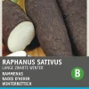Clearance Winterrettich (Raphanus sativus 'Langer Schwarzer') Samen Gemüsesamen|Saatgut