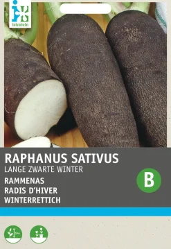 Clearance Winterrettich (Raphanus sativus 'Langer Schwarzer') Samen Gemüsesamen|Saatgut