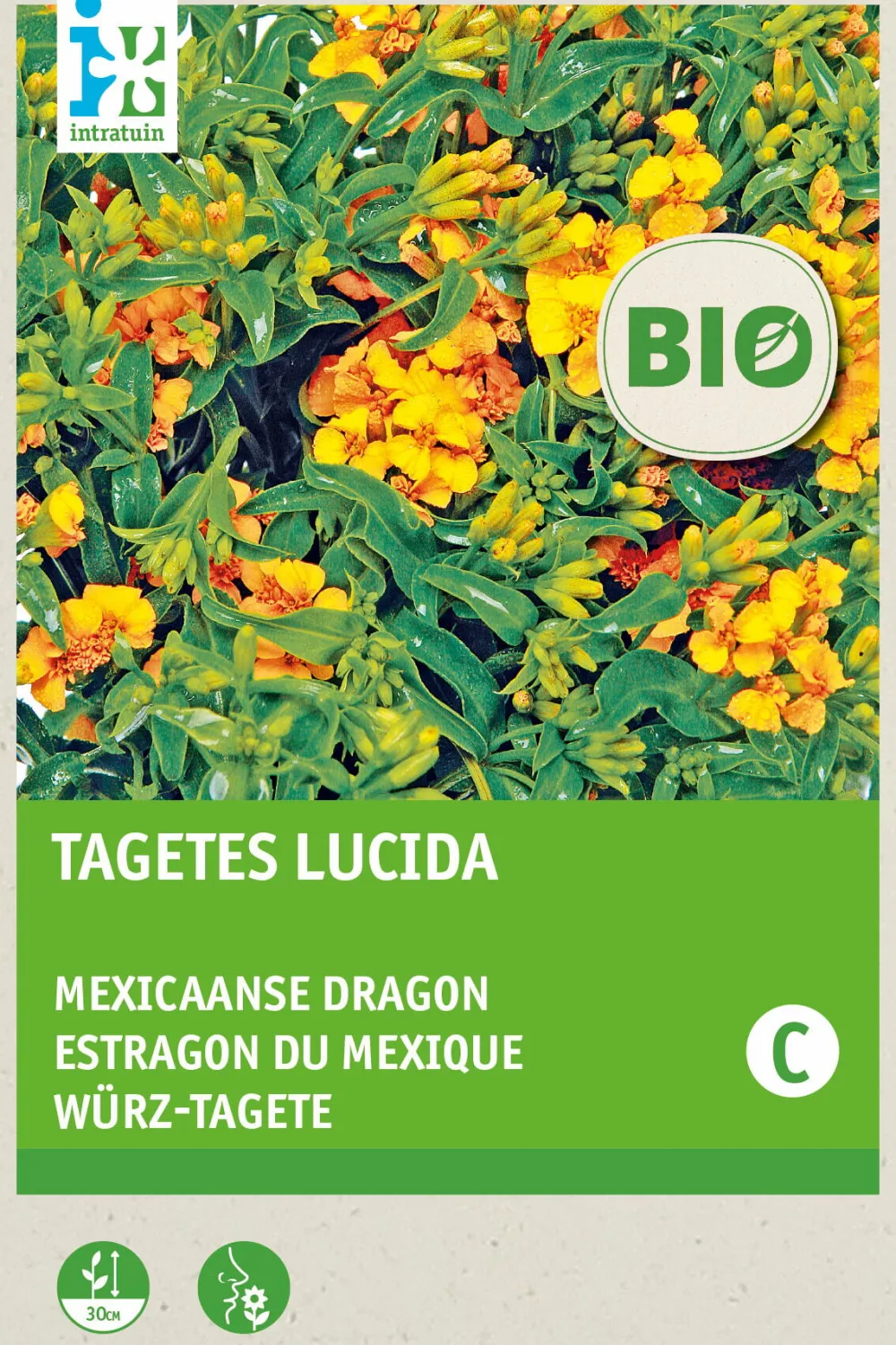 Discount Würz-Tagetes (Tagetes lucida) (BIO) Samen Kräutersamen|Saatgut
