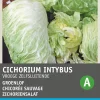 Discount Zichoriensalat (Cichorium intybus 'Pan Di Zucchero') Samen Gemüsesamen|Saatgut