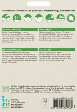 Discount Zichoriensalat (Cichorium intybus 'Pan Di Zucchero') Samen Gemüsesamen|Saatgut