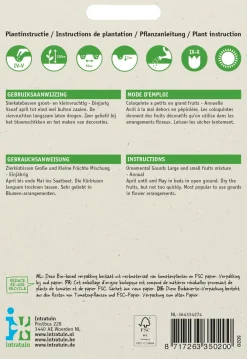 Outlet Zierkürbis (Cucurbita pepo) Samen-Mischung Gemüsesamen|Saatgut