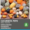 Best Zierkürbis klein (Cucurbita pepo) Samen-Mischung Gemüsesamen|Saatgut