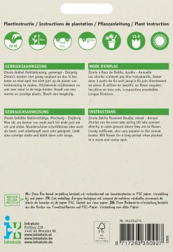 Zinnie (Zinnia elegans) Blumensamen-Mischung Saatgut|Blühende Pflanzen