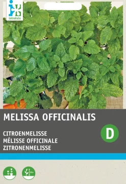 Hot Zitronenmelisse (Melissa officinalis) Samen Kräutersamen|Saatgut