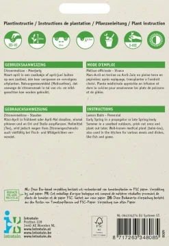 Hot Zitronenmelisse (Melissa officinalis) Samen Kräutersamen|Saatgut