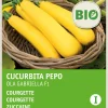 Sale Zucchine gelb (Cucurbita pepo 'Ola Gabriella') (BIO) Samen Gemüsesamen|Saatgut