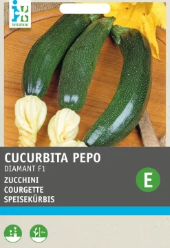 Clearance Zucchini (Cucurbita pepo 'Diamant F1 hybride') Samen Gemüsesamen|Saatgut