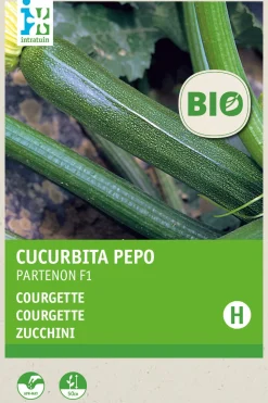 Discount Zucchini (Curcurbita pepo 'Partenon F1') (BIO) Samen Gemüsesamen|Saatgut