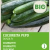 Hot Zucchini (Curcurbita pepo 'Dunja') (BIO) Samen Gemüsesamen|Saatgut