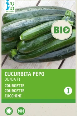 Hot Zucchini (Curcurbita pepo 'Dunja') (BIO) Samen Gemüsesamen|Saatgut