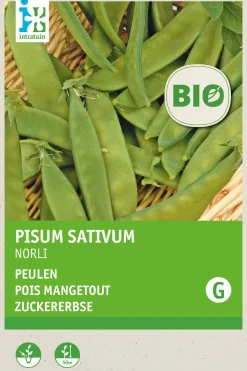 New Zuckererbse (Pisum sativum 'Norli') (BIO) Samen Gemüsesamen|Saatgut