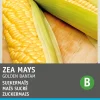 Clearance Zuckermais (Zea mays 'Golden Bantam') Samen Gemüsesamen|Saatgut