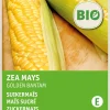 Online Zuckermais (Zea mays 'Golden Bantam') (BIO) Samen Gemüsesamen|Saatgut