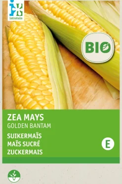 Online Zuckermais (Zea mays 'Golden Bantam') (BIO) Samen Gemüsesamen|Saatgut