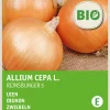 Hot Zwiebeln (Allium cepa 'Rijnsburger 5') (BIO) Samen Gemüsesamen|Saatgut