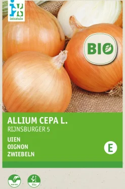 Hot Zwiebeln (Allium cepa 'Rijnsburger 5') (BIO) Samen Gemüsesamen|Saatgut