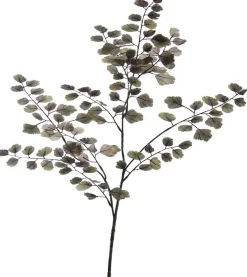 Online Jasaco Kunstzweig Frauenhaarfarn 100 cm grau Künstliche Deko-Zweige