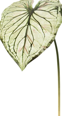 Clearance Jasaco Kunstzweig Kaladie hellgrün 113 cm Künstliche Deko-Zweige