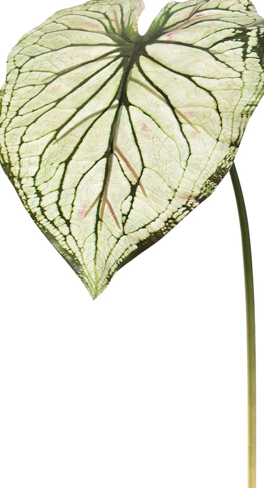 Clearance Jasaco Kunstzweig Kaladie hellgrün 113 cm Künstliche Deko-Zweige