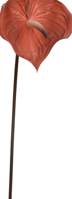 Hot Jasaco Pure Kunstblume Anthurie 67 cm braun Kunstblumen