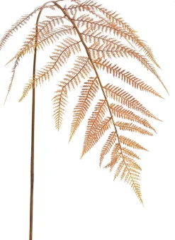 Online Jasaco Pure Kunstzweig Farn 133 cm gold Künstliche Deko-Zweige