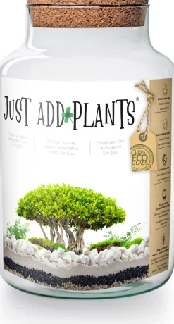 Online Just add Plants Pflanzenterrarium Glas mit Korken D 19 H 30 cm Vasen & Krüge|Blumentöpfe & Pflanzgefäße
