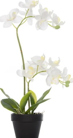 New Künstliche Orchidee (Phalaenopsis) im Topf D 16 H 35 cm weiß Kunstpflanzen
