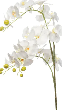 Best Künstliche Orchidee (Phalaenopsis) groß weiß 137 cm Künstliche Deko-Zweige