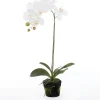 New Kunstpflanze Orchidee (Phalaenopsis) im Topf weiß D 30 cm H 60 cm Kunstpflanzen
