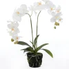 Outlet Kunstpflanze Orchidee (Phalaenopsis) in Moos weiß D 33 cm H 67 cm Kunstpflanzen