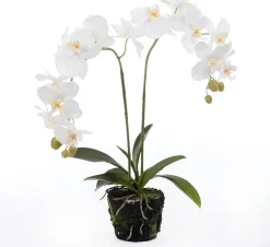 Outlet Kunstpflanze Orchidee (Phalaenopsis) in Moos weiß D 33 cm H 67 cm Kunstpflanzen