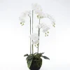 Best Kunstpflanze Orchidee (Phalaenopsis) im Topf weiß 48 x 42 x 115 cm Kunstpflanzen