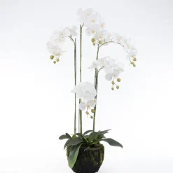 Best Kunstpflanze Orchidee (Phalaenopsis) im Topf weiß 48 x 42 x 115 cm Kunstpflanzen
