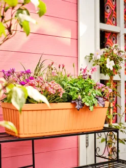 Discount Mega Collections Balkonkasten Floreira terrakotta 59 x 19 x 18 cm Balkonkästen|Blumentöpfe & Pflanzgefäße