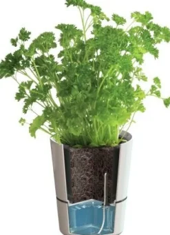 Clearance Mepal Kräutertopf 'Twin' weiß 27,3 x 13,7 x 22 cm Anzuchtkästen & Mini-Gewächshäuser|Blumentöpfe & Pflanzgefäße