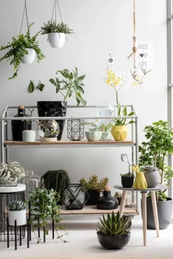 Online Mica Decorations Blumentopf-Ständer Ascot schwarz D 8,5 cm H 9,5 cm Blumenständer