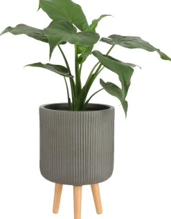 Mica Decorations Blumentopf mit Füßen Nuovo D 30,5 H 46 cm braun Blumentöpfe|Blumentöpfe & Pflanzgefäße