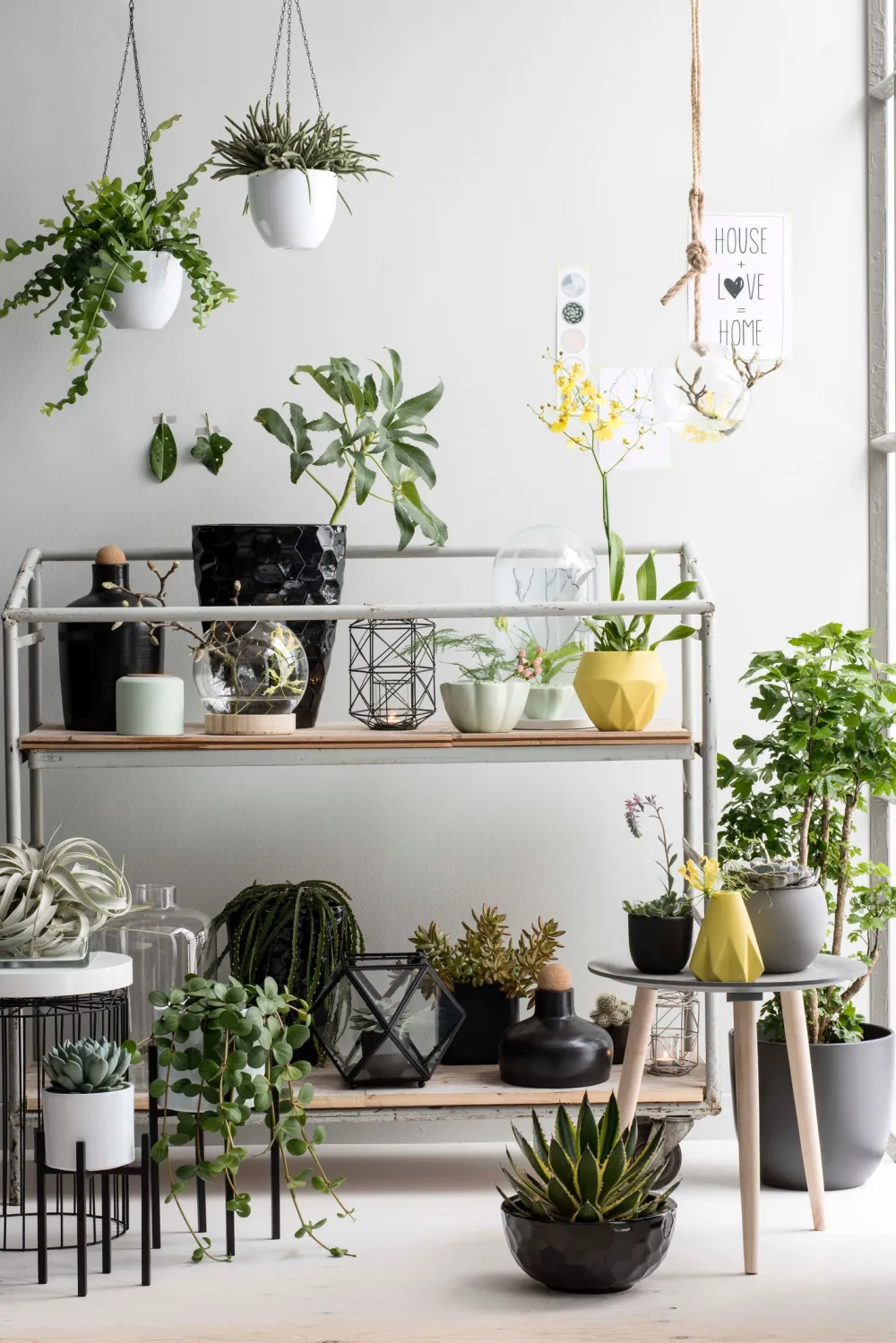 Clearance Mica Decorations Blumentopf-Ständer Ascot 24 x 24 x 55 cm schwarz Blumenständer