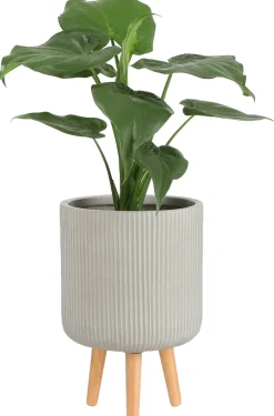 Clearance Mica Decorations Blumentopf mit Füßen Nuovo D 30,5 H 46 cm beige Blumentöpfe|Blumentöpfe & Pflanzgefäße