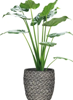 Online Mica Decorations Blumentopf Alma dunkelgrau D 13 H 13 cm Blumentöpfe & Pflanzgefäße|Blumentöpfe