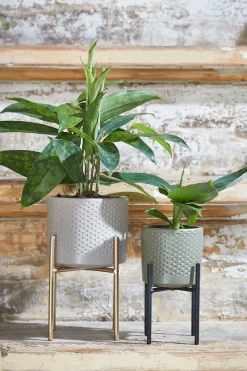 Clearance Mica Decorations Blumentopf-Ständer Ascot gold D 11,5 cm H 12,5 cm Blumenständer